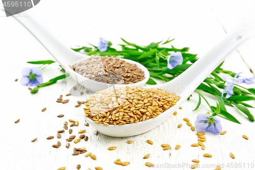 Image of Flaxen white and brown in two spoons on light board