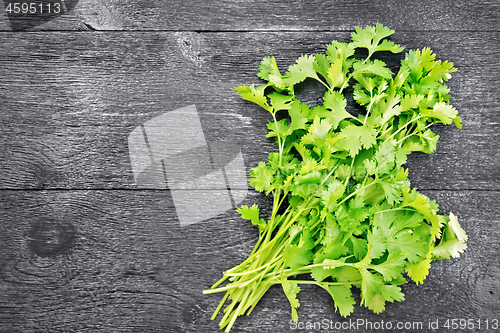 Image of Cilantro fresh on board top