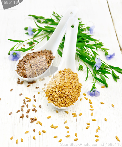 Image of Flaxen white and brown in two spoons on white table