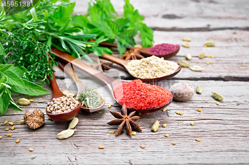 Image of Spices in spoons on board