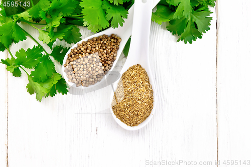 Image of Coriander ground and seeds in two spoons on white board top