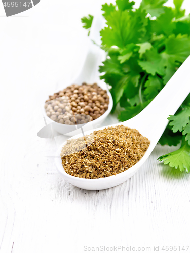 Image of Coriander ground and seeds in spoons on white board