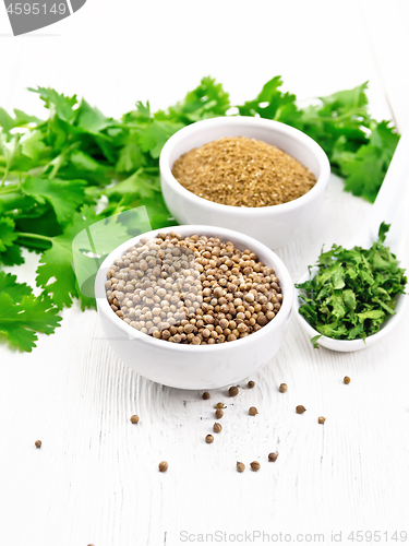 Image of Coriander ground and seeds in bowls on white board