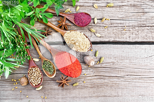 Image of Spices in spoons on board top