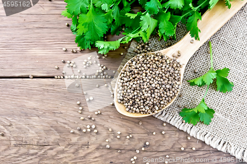 Image of Coriander seeds in wooden spoon on board top
