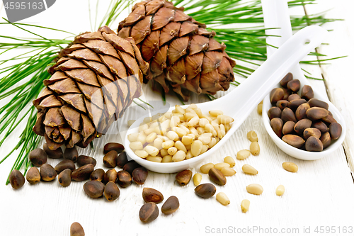 Image of Cedar nuts in two spoons on white board