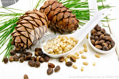 Image of Cedar nuts in two spoons on white board