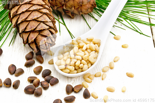 Image of Cedar nuts peeled in spoon on light board