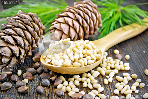 Image of Cedar nuts peeled in spoon on dark wooden board