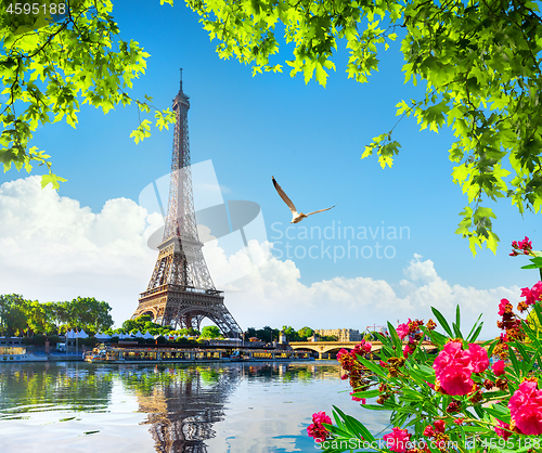 Image of Eiffel tower and flowers