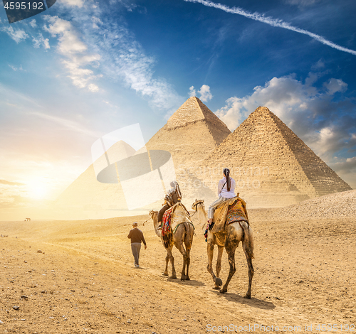 Image of Camel Caravan of Giza