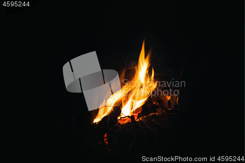 Image of Campfire On A Black Background