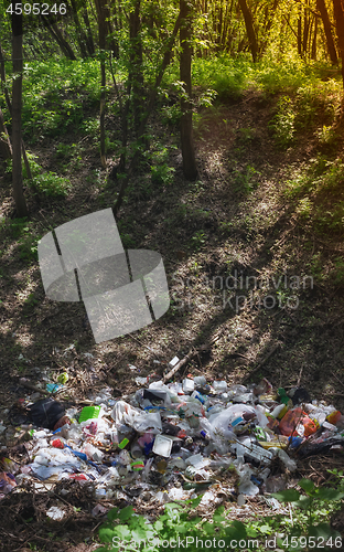 Image of Garbage in the Forest - Environmental Pollution