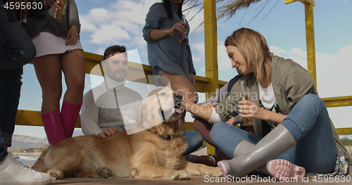 Image of Group of friends having fun on autumn day at beach