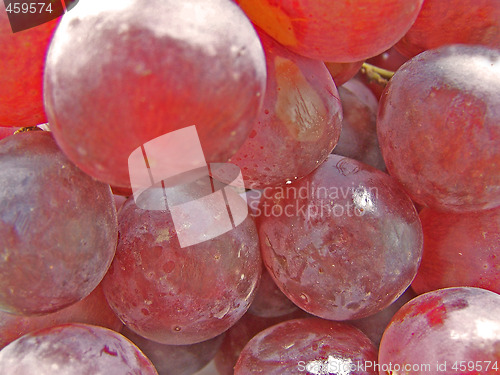 Image of Red grape