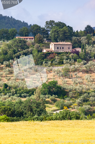 Image of landscape mood in Italy Marche