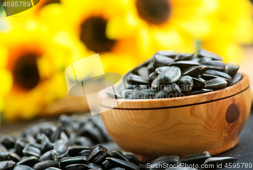 Image of sunflower seed