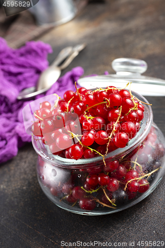 Image of red currant