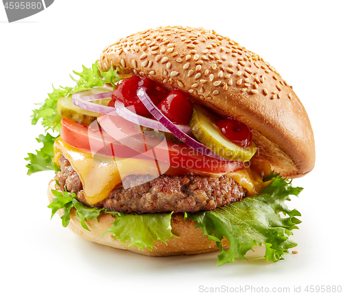 Image of fresh tasty burger