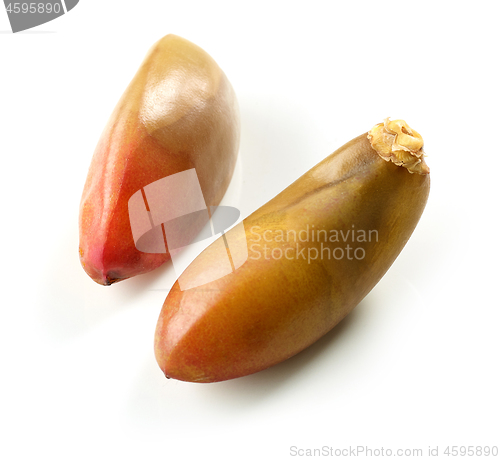 Image of fresh raw dates macro