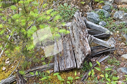 Image of Wooden Wheelbarrow