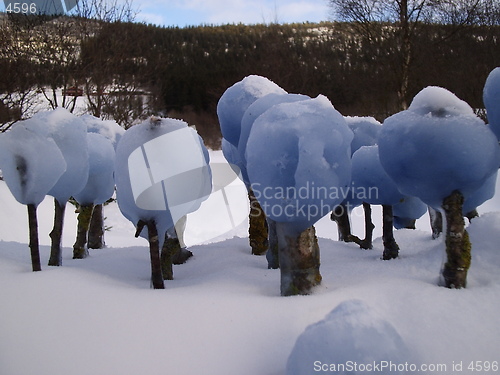 Image of Snow sculptures