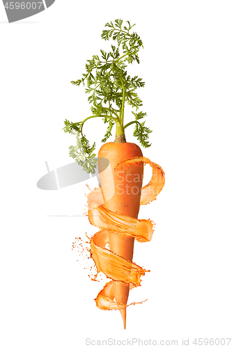 Image of Vertical fresh ripe carrot root with splashes.