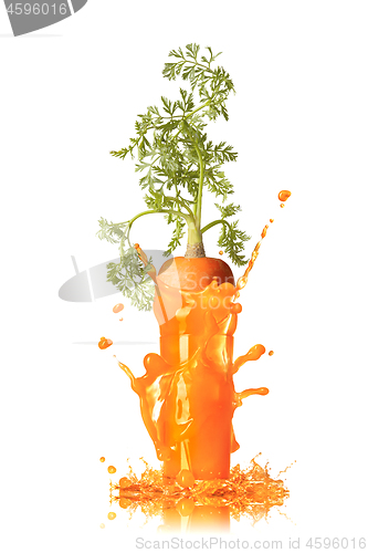 Image of Carrot juice splash with root in the glass.