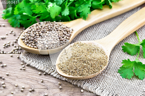 Image of Coriander ground and seeds in two spoons on board