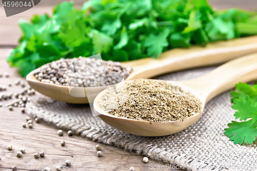 Image of Coriander ground and seeds in two spoons on old board