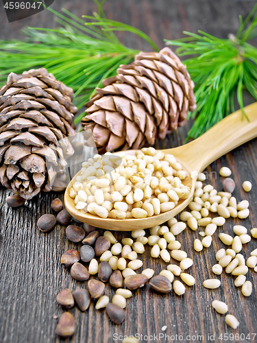 Image of Cedar nuts peeled in spoon on dark board