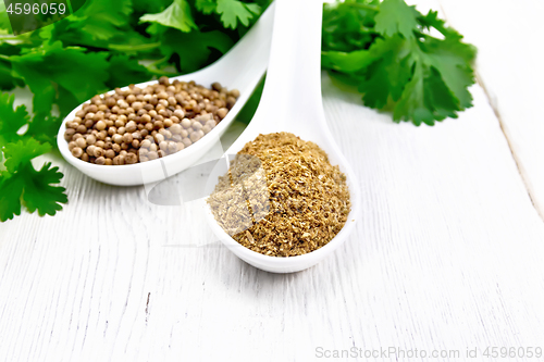 Image of Coriander ground and seeds in spoons on light board top