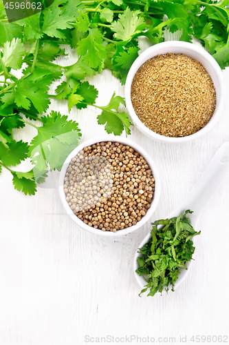 Image of Coriander ground and seeds in bowls on board top