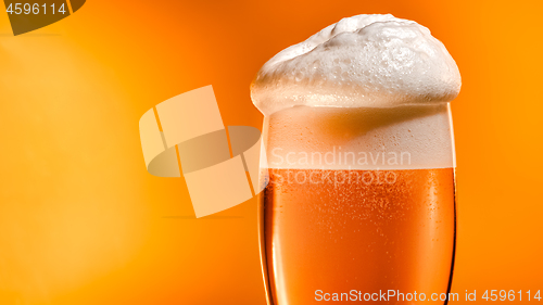 Image of Lager beer settles in the glass with a white cap of foam