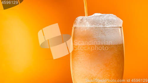 Image of Lager beer settles in the glass with a white cap of foam