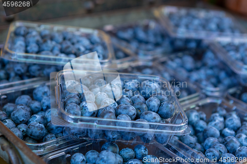 Image of Punnets of fresh blueberries
