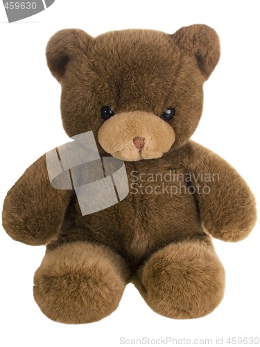 Image of Teddy