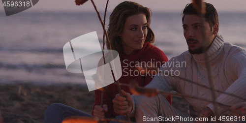 Image of Group Of Young Friends Sitting By The Fire at beach