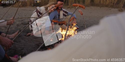 Image of Group Of Young Friends Sitting By The Fire at beach