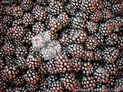 Image of Blackberry background