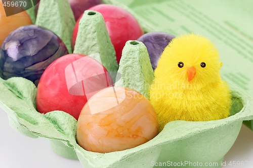 Image of Toy chicken
