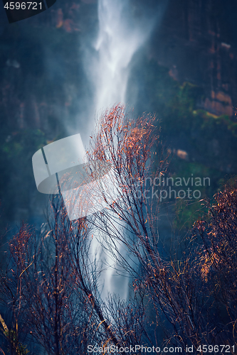 Image of After the bush fires comes rain in  Australia