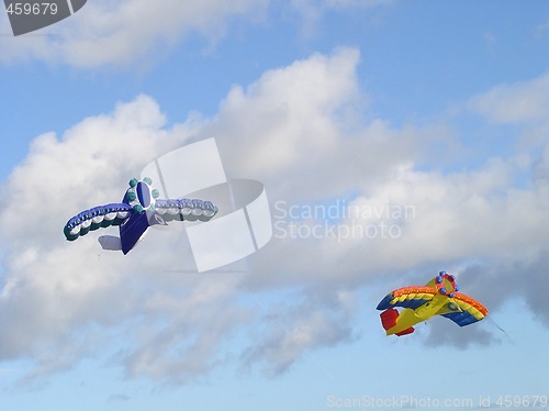 Image of Stunt kites