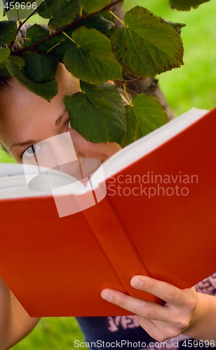 Image of woman with book under the tree