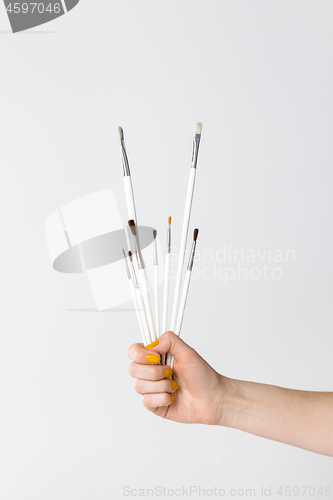 Image of Hand holding white paintbrushes