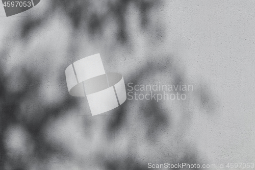 Image of Shadow of tree branches on gray wall