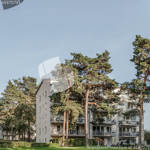 Image of Pine trees and residential buildings