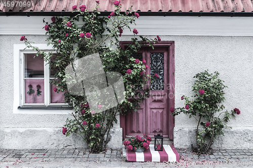 Image of Picturesque house entrance decorated with roses