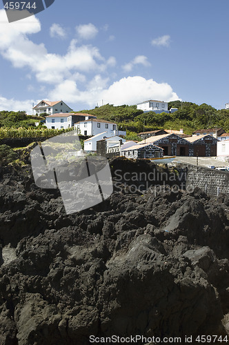 Image of Basalt rocks, Pico island, Azores