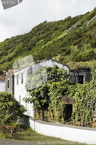 Image of Ruined house in Lages do Pico, Azores